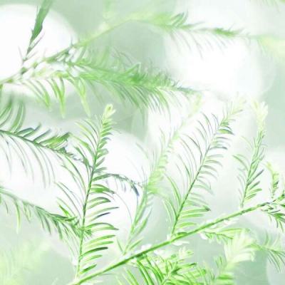 魔法石窟手机版下载